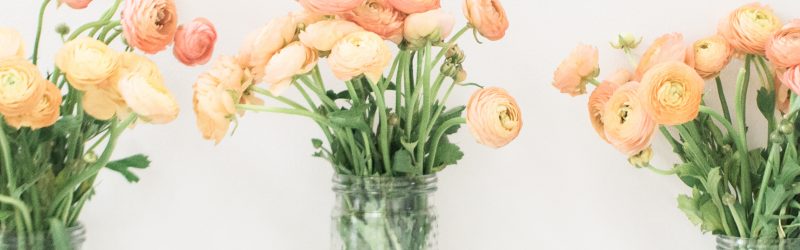 balance simplicity and frugality