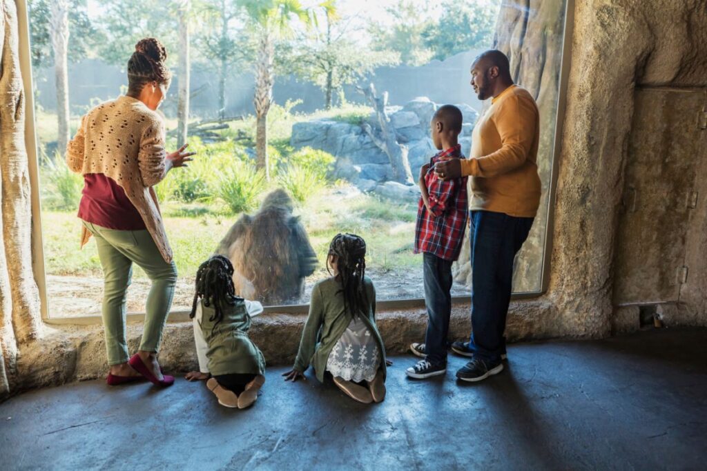 family at the zoo