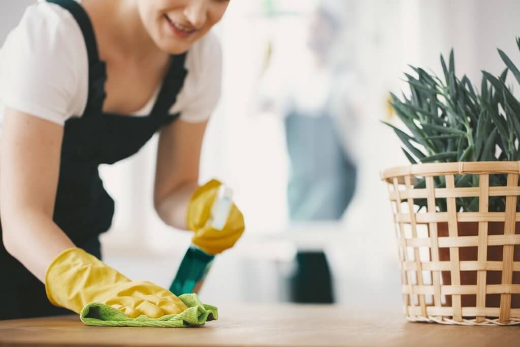 woman cleaning counter