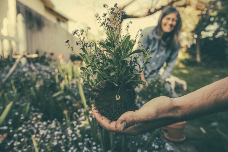 The Valuable Benefits of Gardening for Your Health
