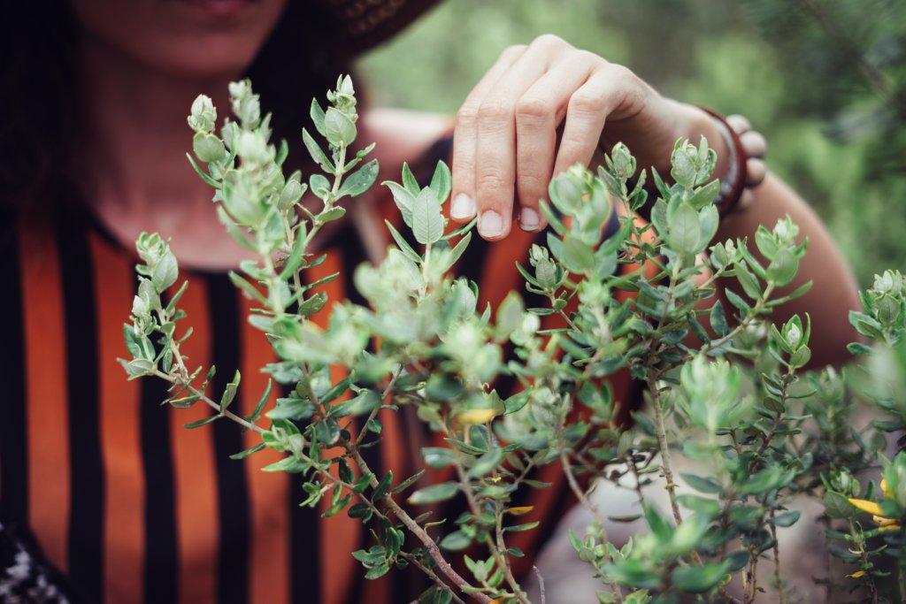 benefits of gardening