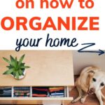 best organizing books