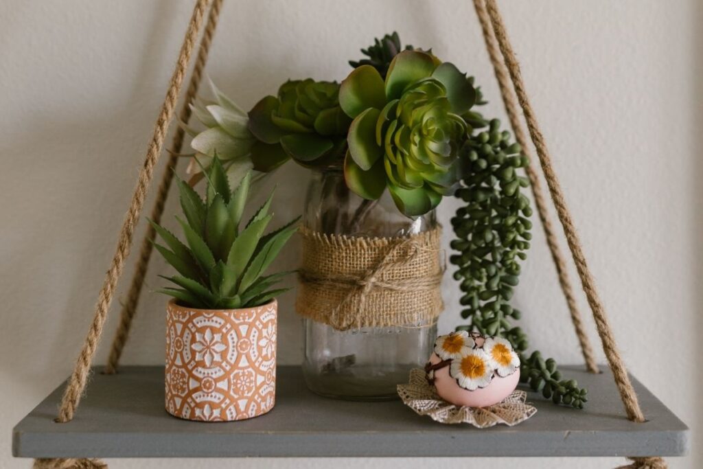 hanging plants