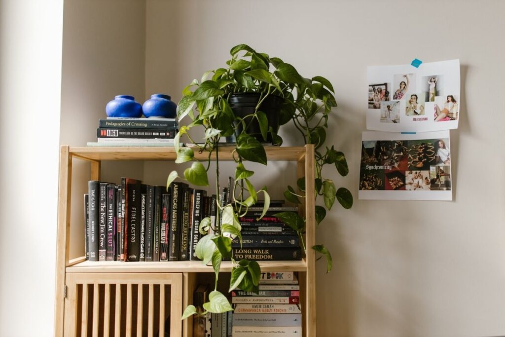 include more plants in your home