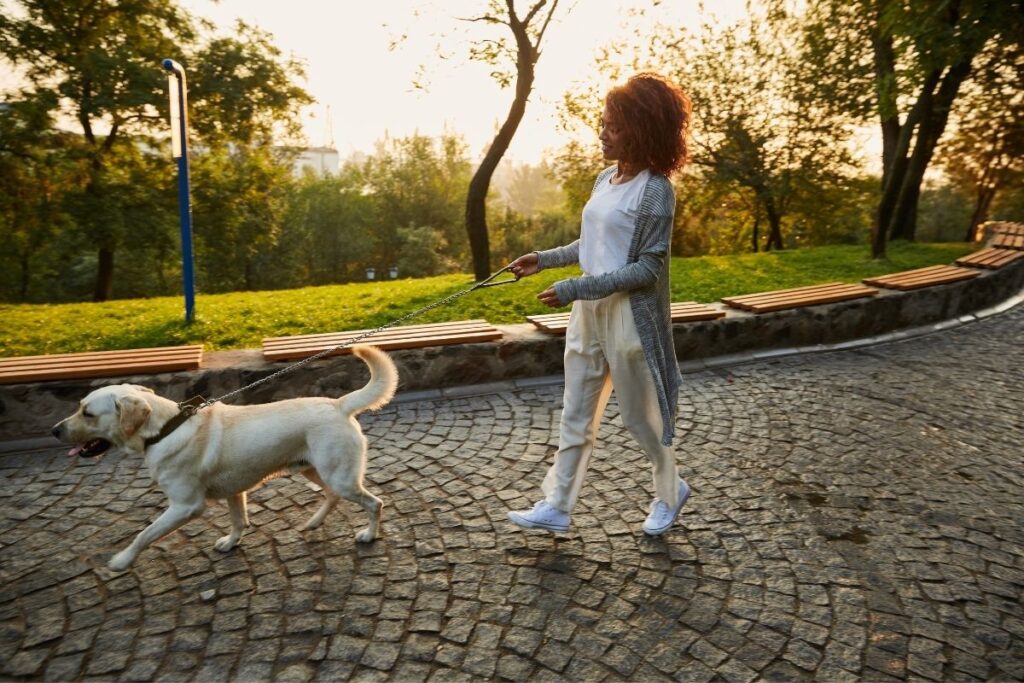 woman walking dog