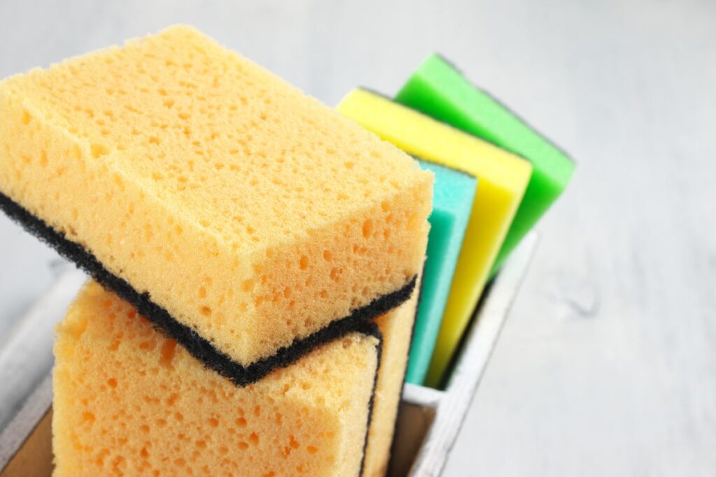 sponges