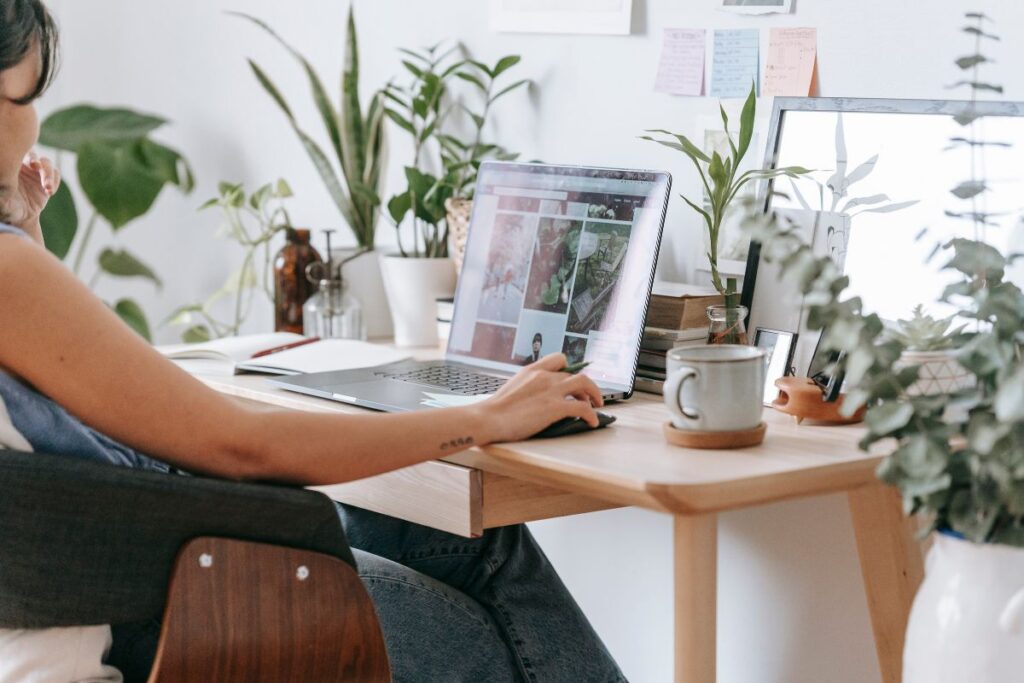 plants on a desk