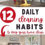 daily cleaning habits