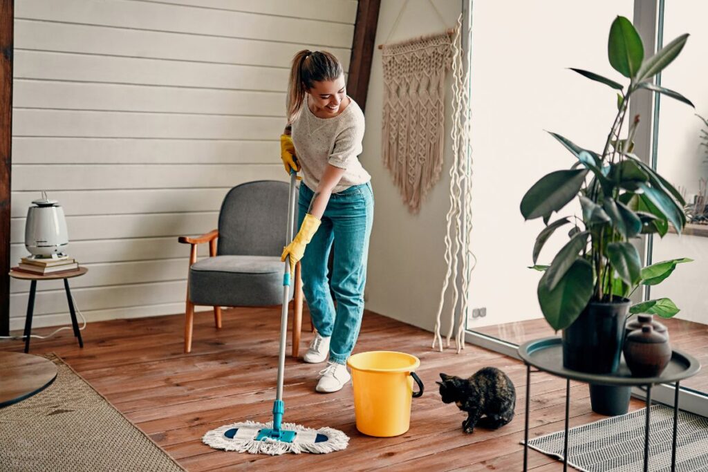 cleaning tips from a professional house cleaner