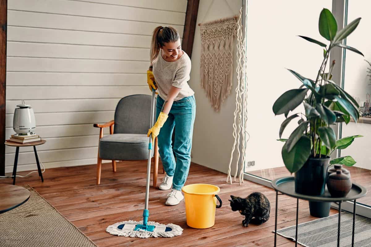 The 4 Best Mops for Spotless Floors - Clean Mama
