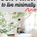 reasons you don't want to live minimally