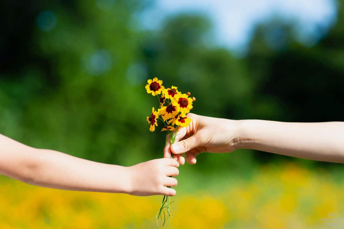 How to Be Happy: 10 Ways to Fight Discontent & Find Joy in Your Life ...
