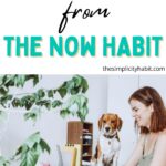 The Now Habit