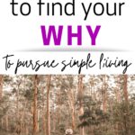 why pursue simple living