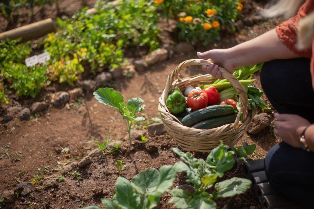 gardening