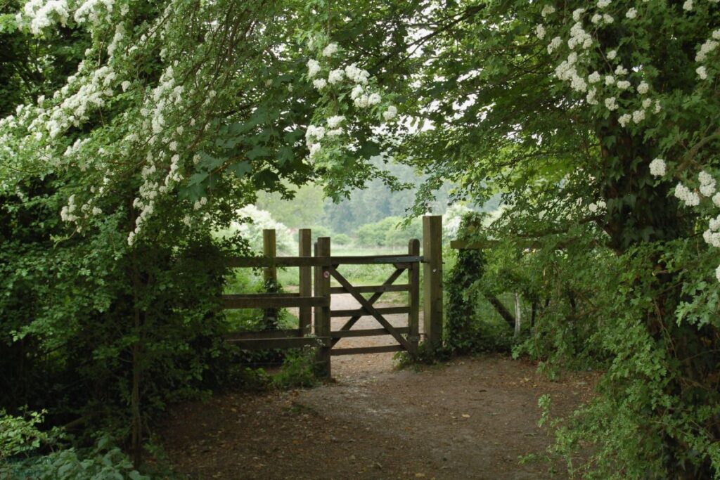 creating healthy boundaries in your life
