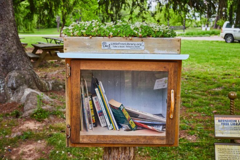15 Great Places to Donate Used Books to Make a Positive Impact
