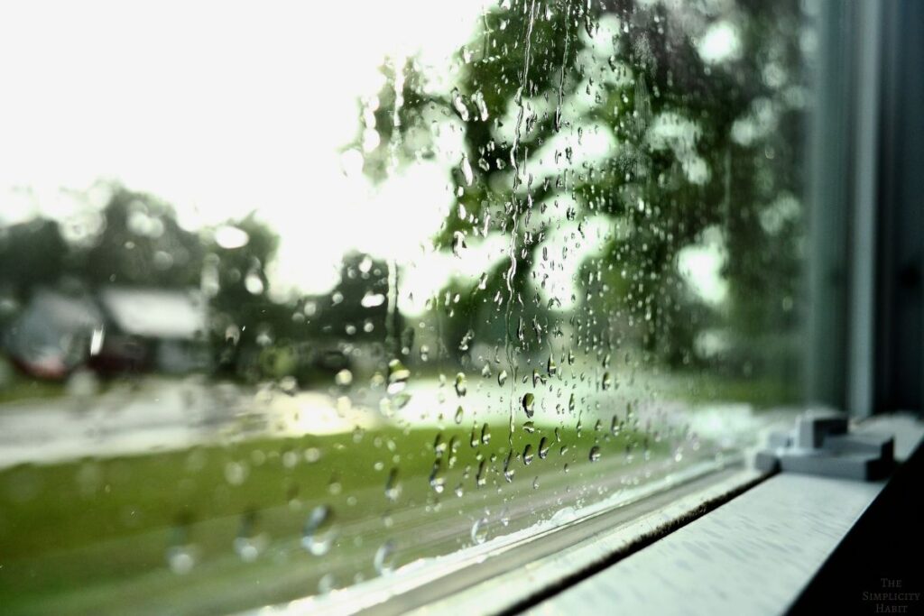 raindrops on a window