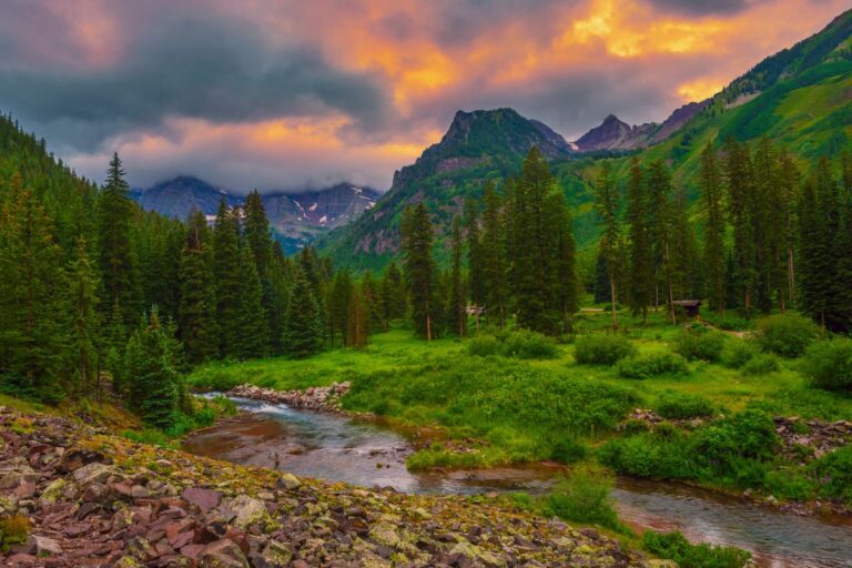 6 Slow-Living Habits to Help You Savor the Moments in Your Life