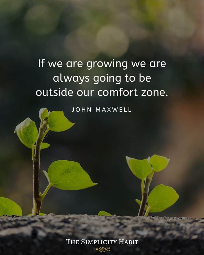 John Maxwell quote with a plant in the background