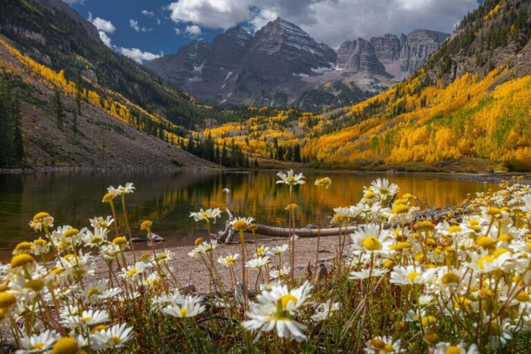 15 Things Minimalists Declutter Before the End of Summer