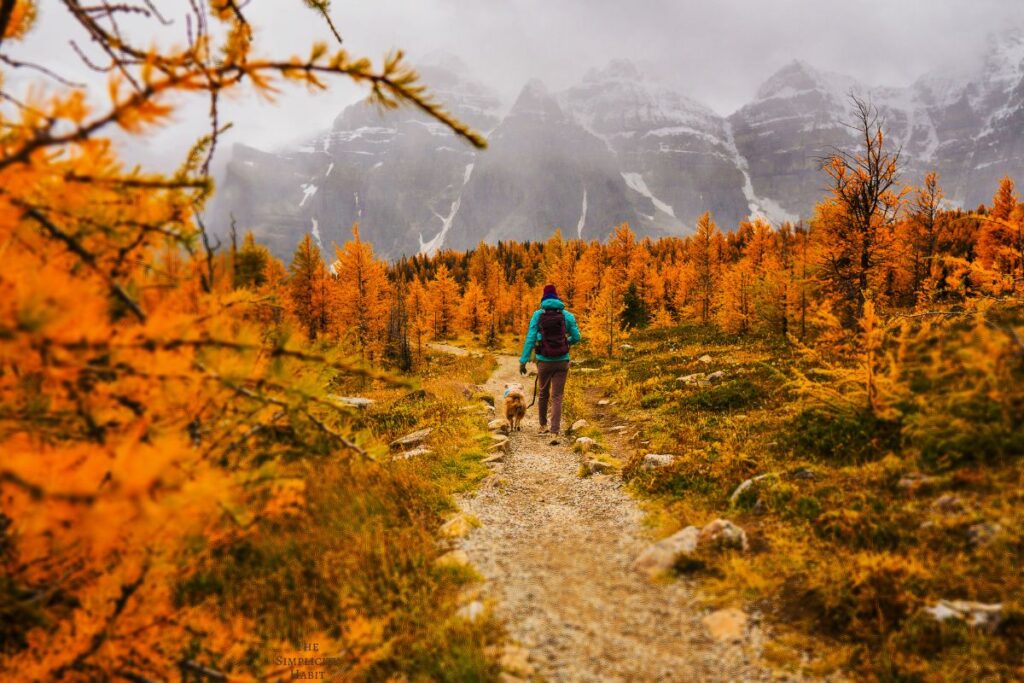 fresh start in the fall