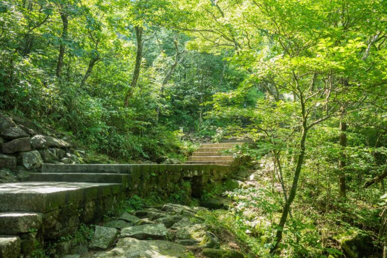 How Keystone Habits Help You Build a Simpler, More Intentional Life